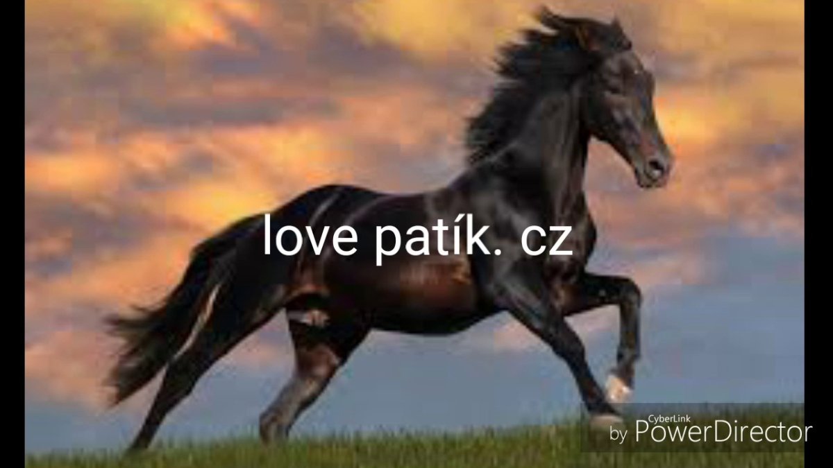 Гнедой Мустанг