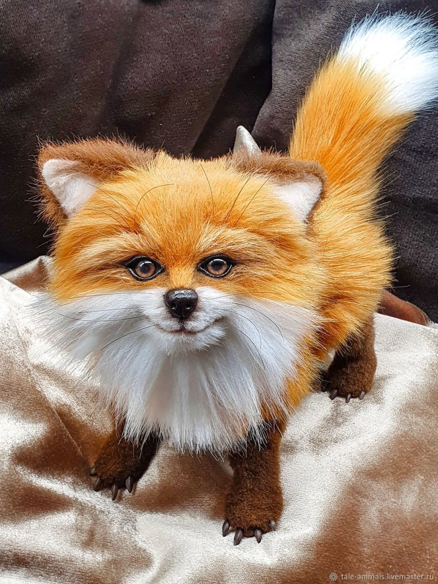 Пушистый Лис