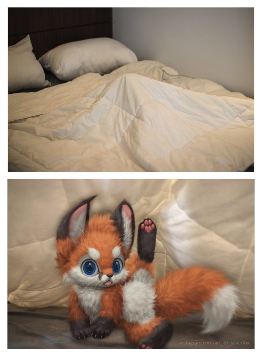 Art of Silverfox лисята
