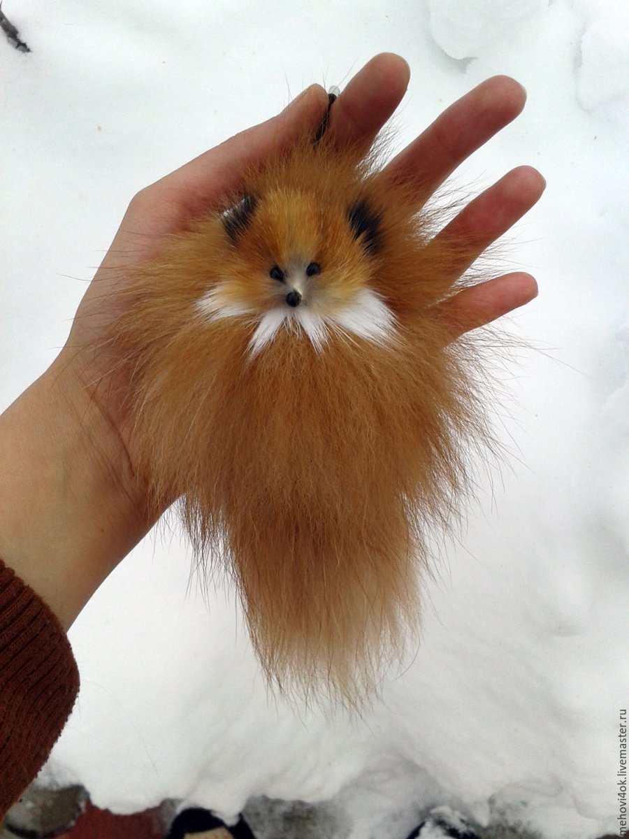 Маленький пушистый хвост