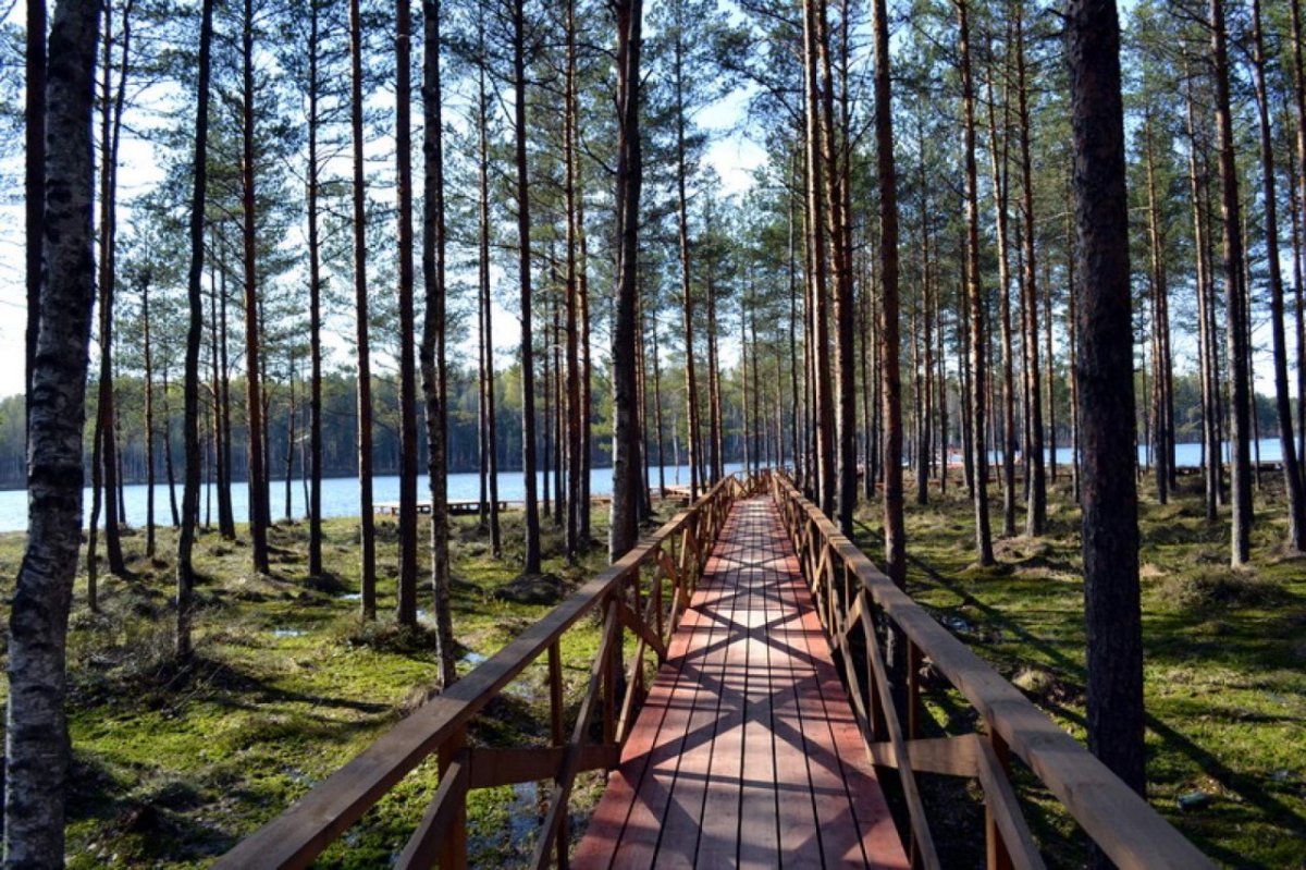 Озеро Коркинское Всеволожский район