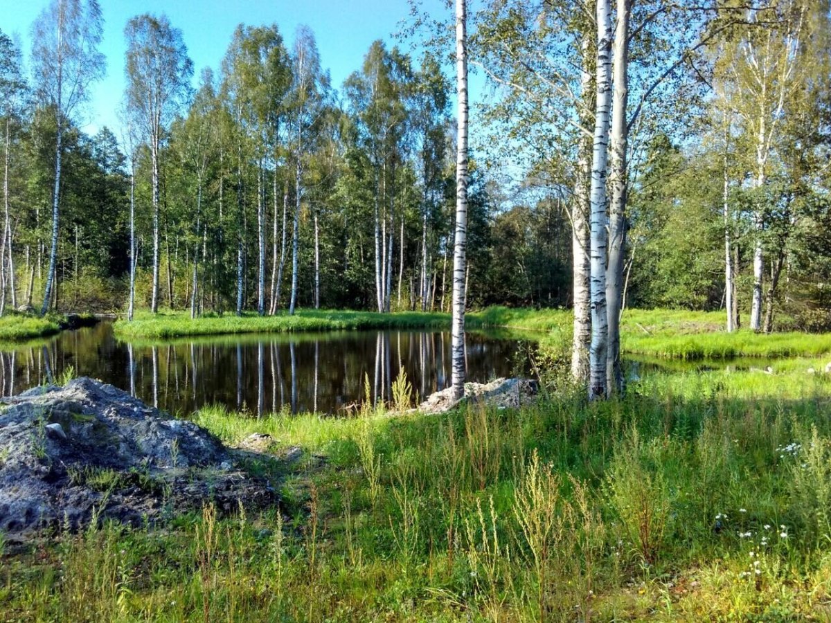 Поселок мечта Ленинградская область