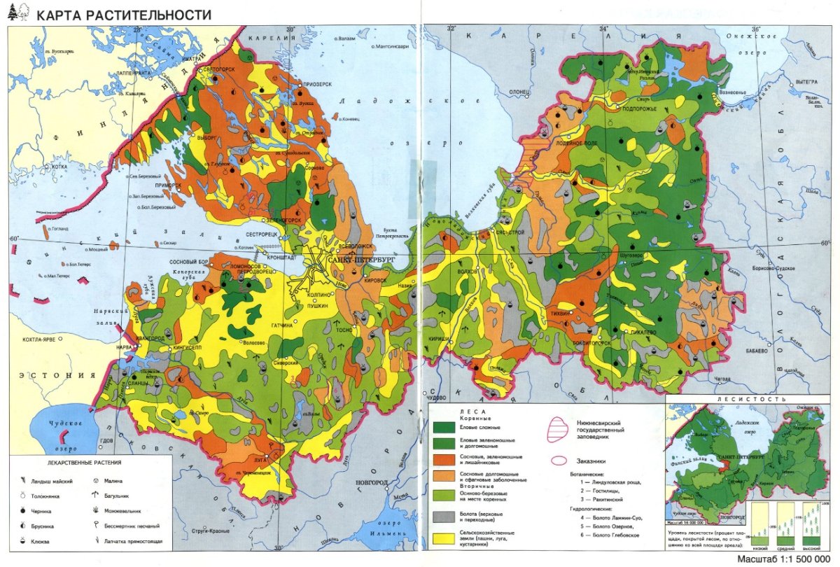 Ленинградская область карта растительности карта