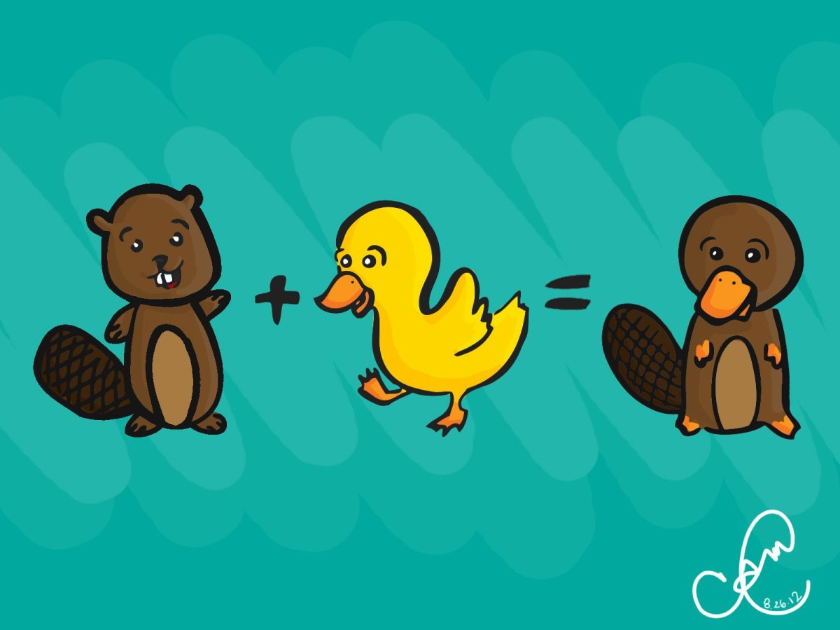 Бобер утка Утконос