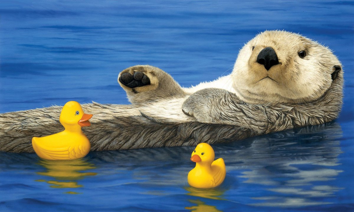 Утенок и выдра