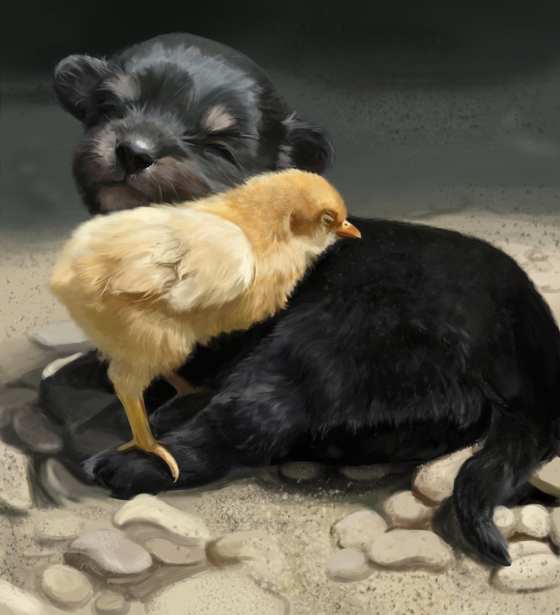 Котенок и цыпленок