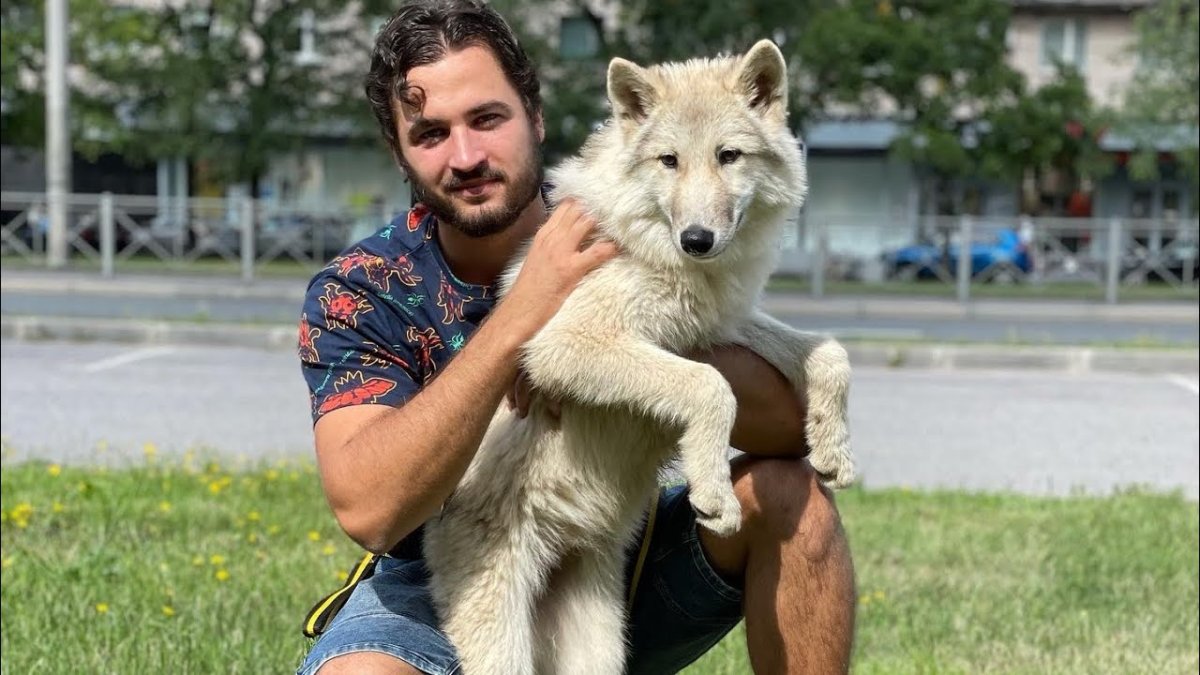 Андрей Мусиенко парк Волков