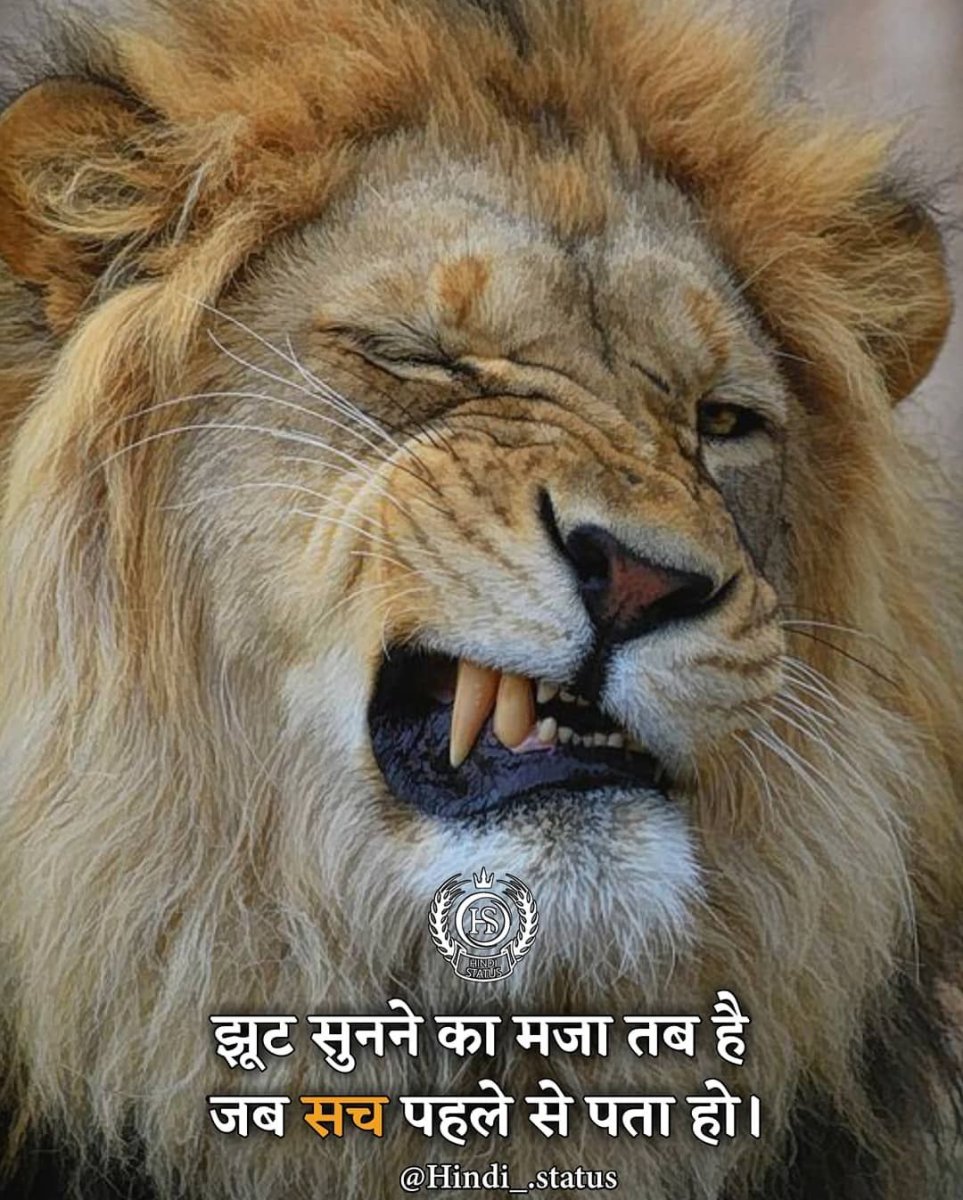 Грустный Лев