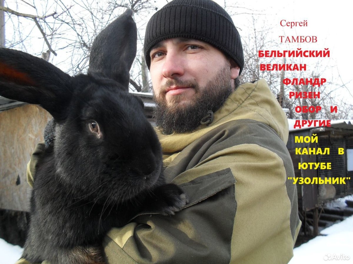 Чем занимается кроликовод в Тамбове Сергей Узольник
