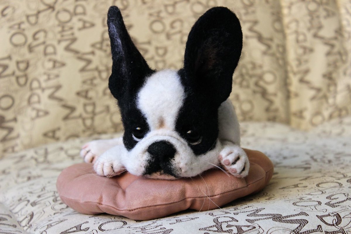 Валяные собаки французский бульдог