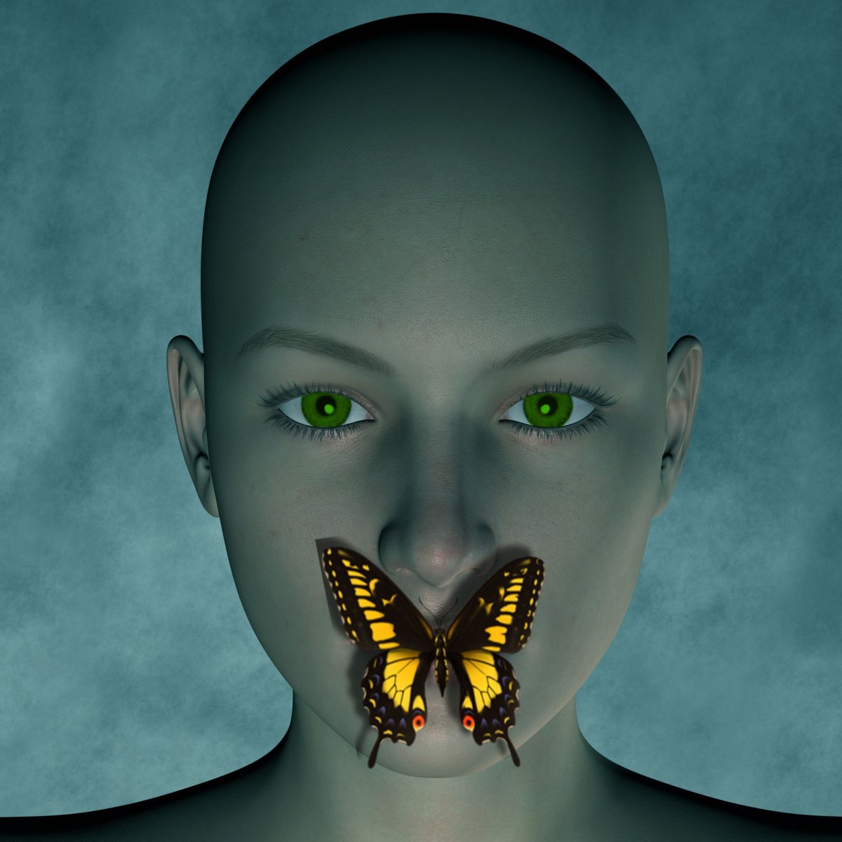 Лицо бабочки