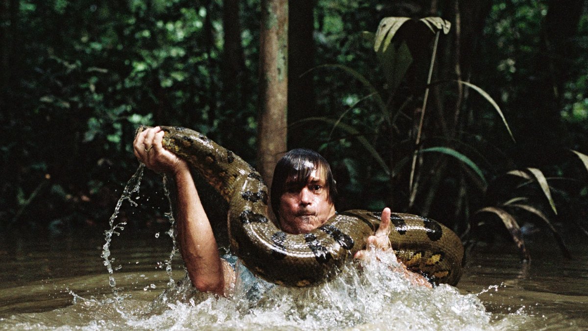 Анаконда змея