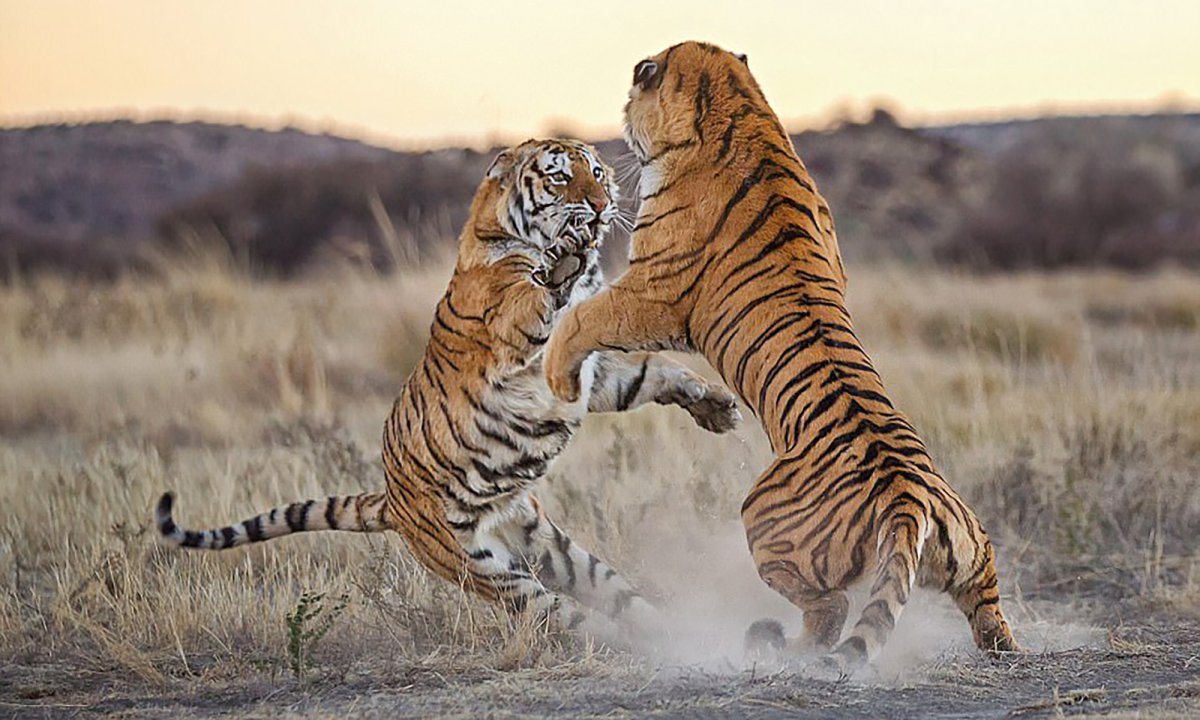 Тигриный каньон Южная Африка