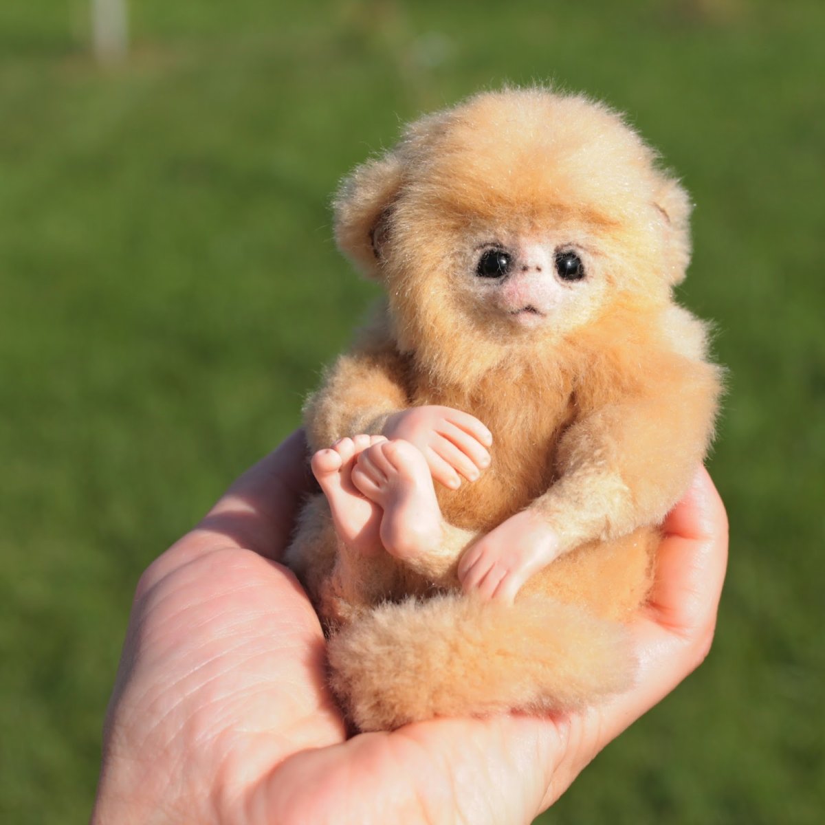 Маленькая одежда для живых обезьянок