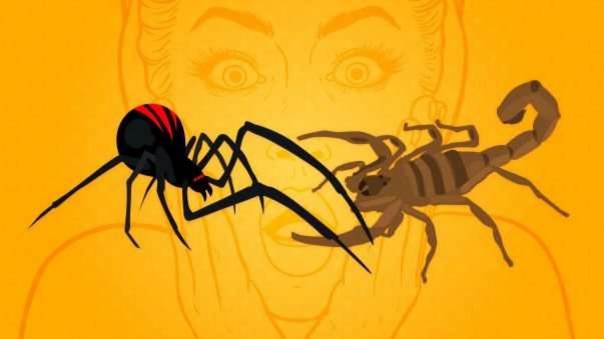 Паук vs Скорпион