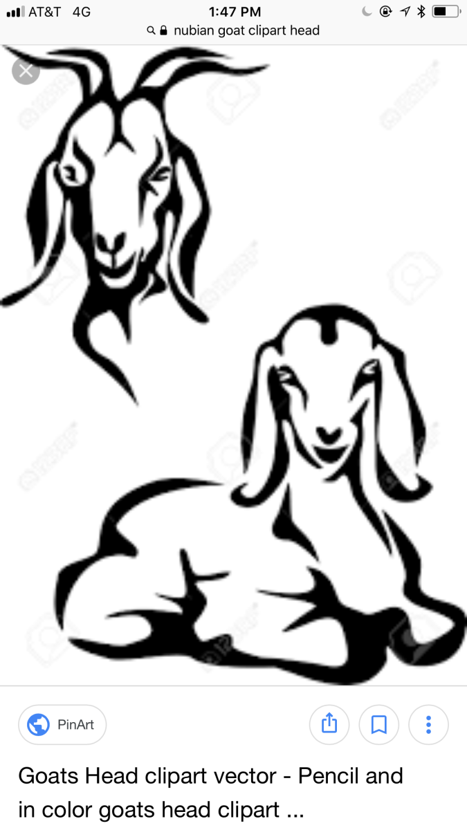 Коза англо нубийские в векторе