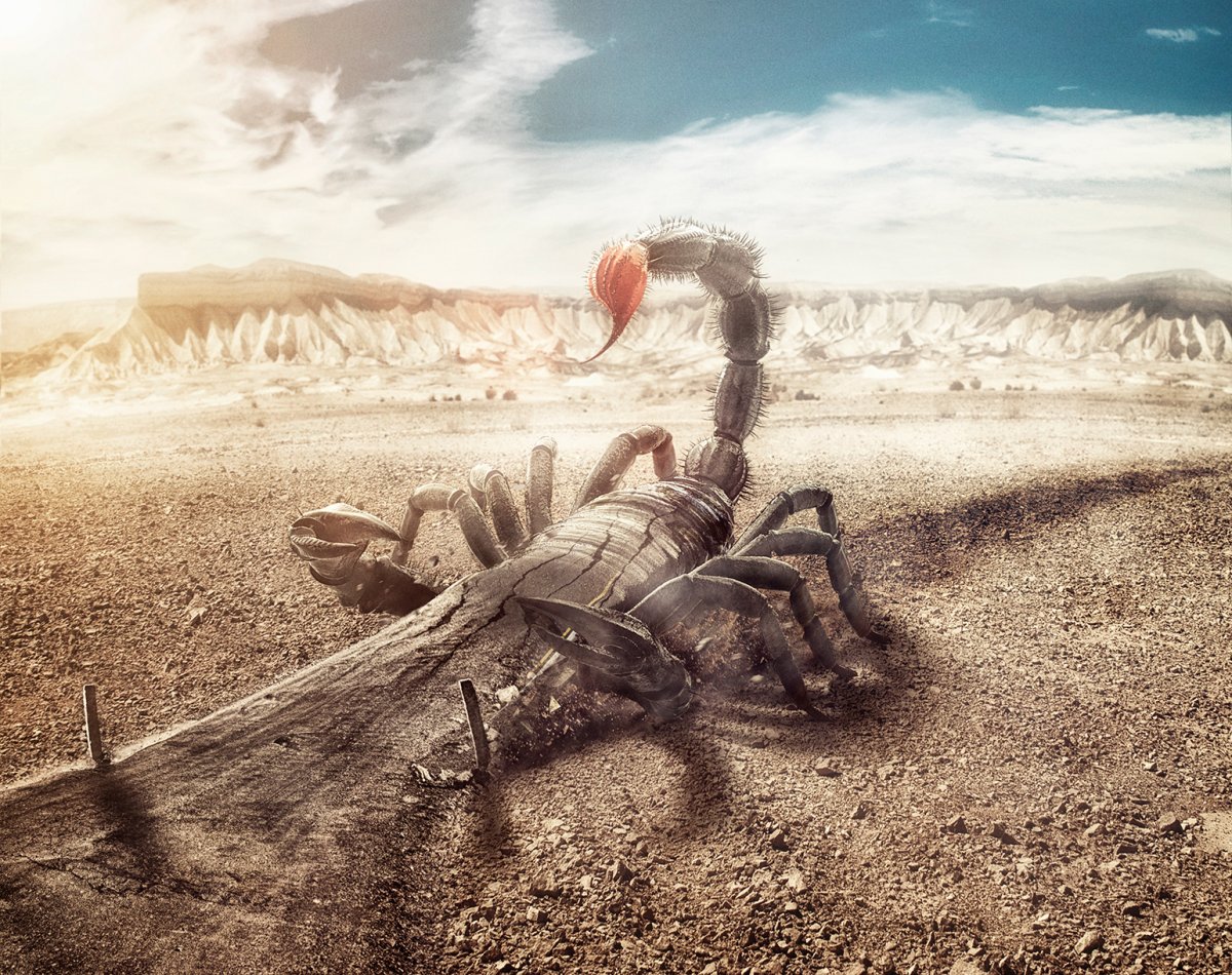 Пустынные Скорпионы фэнтези