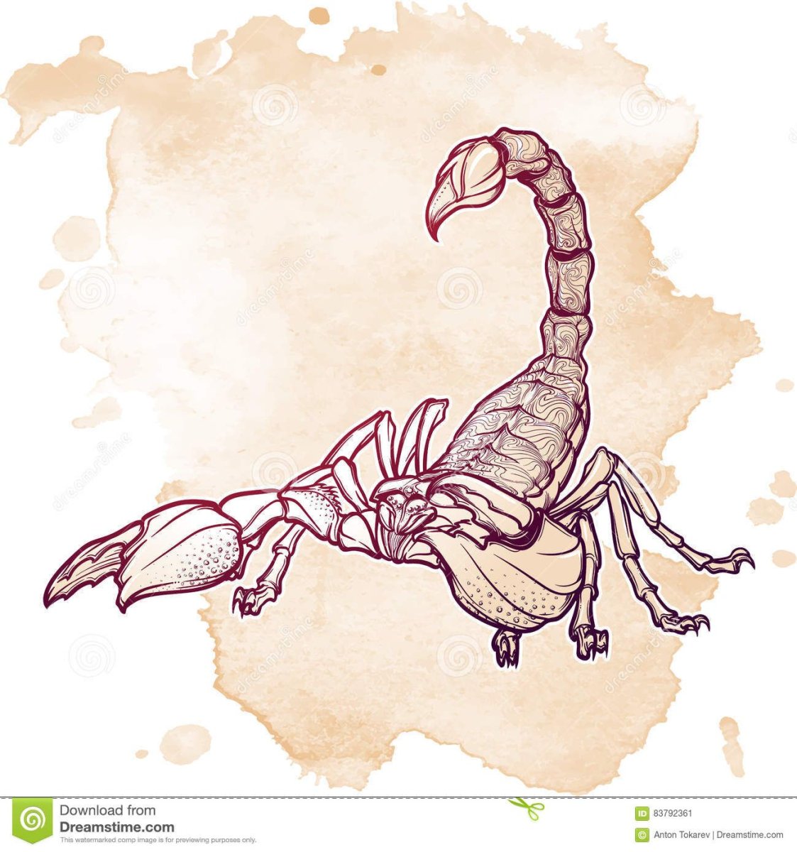 Скорпион акварель эскиз