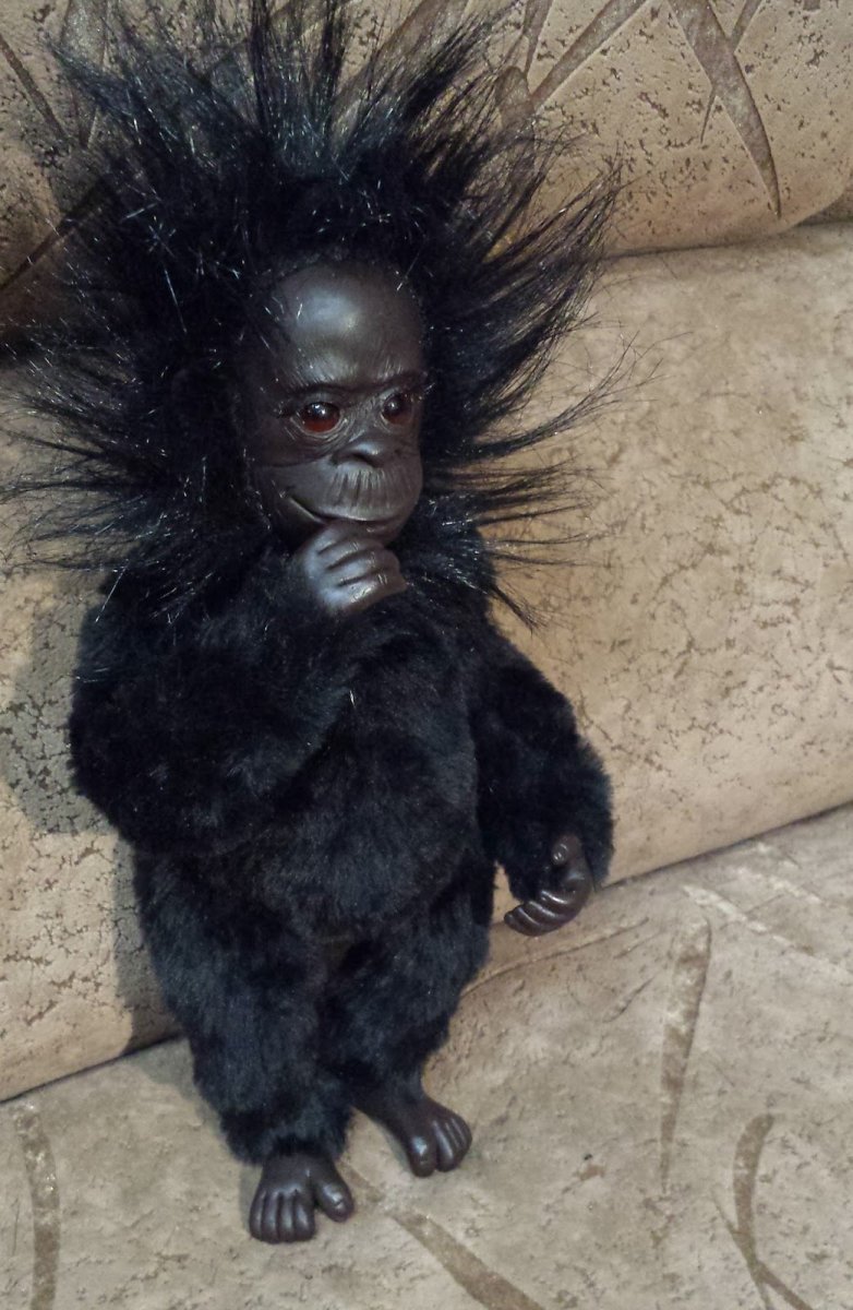 Маленькие черные обезьяны