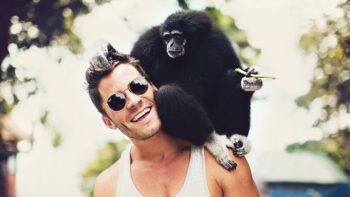 Мартышка и парень