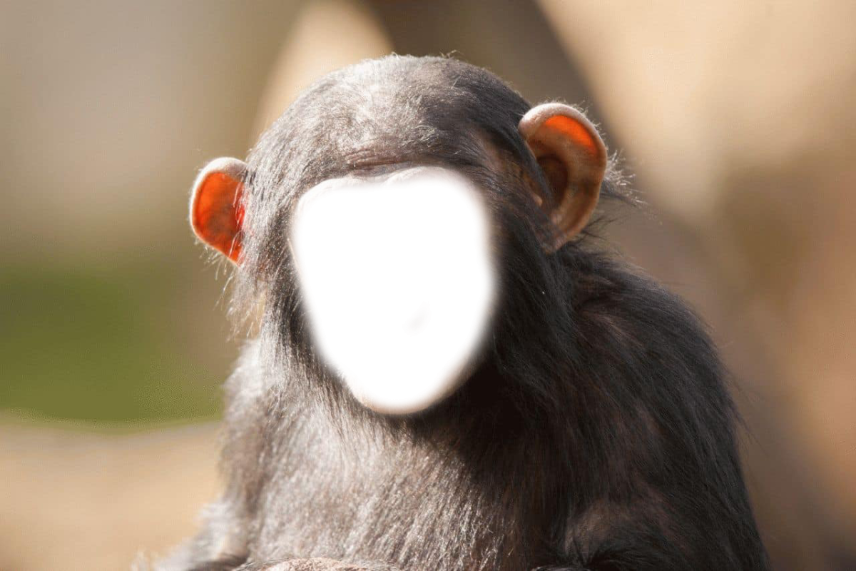 Обезьяна в голове