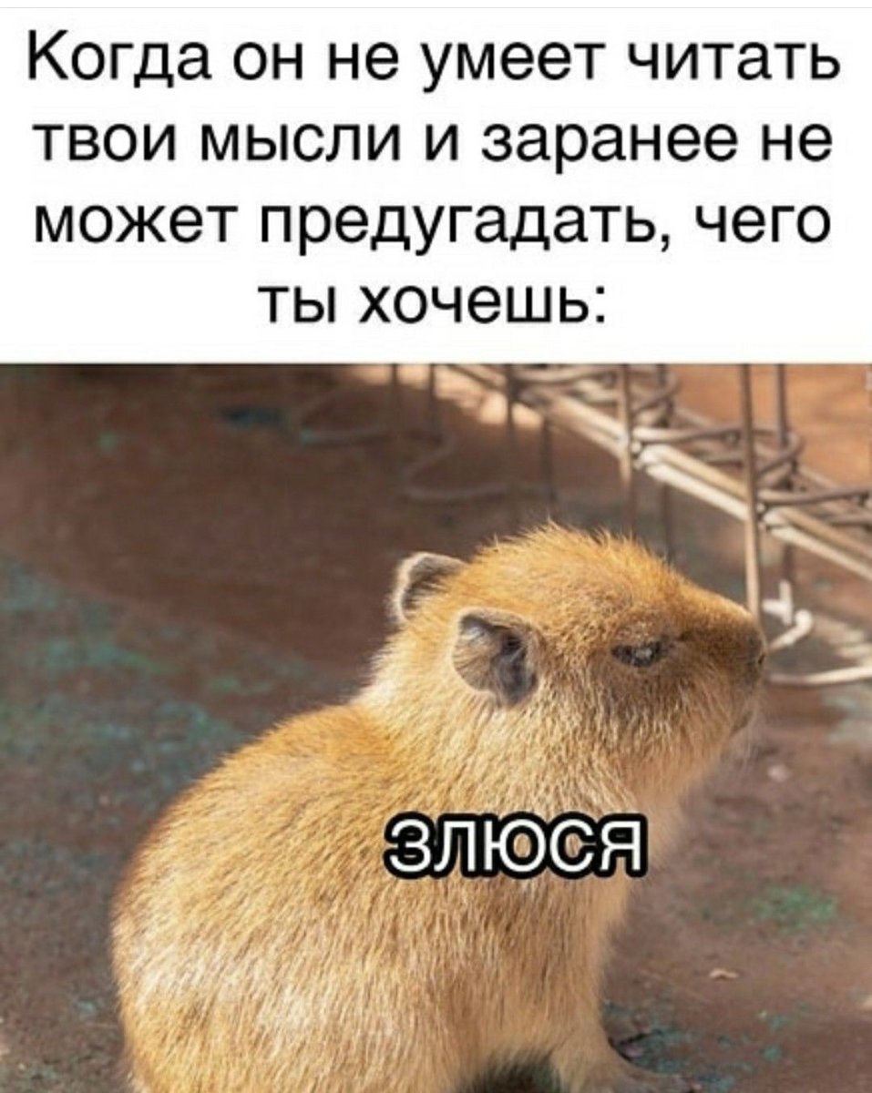 Капибара обидчивая или нет