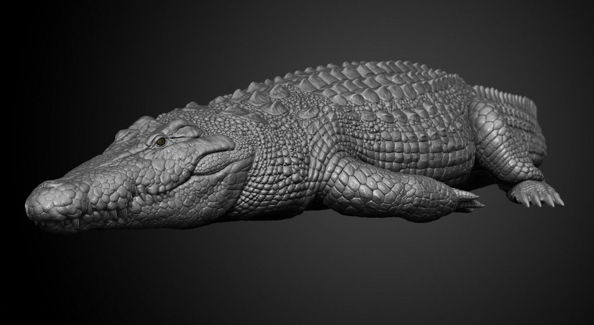 Крокодил 3д