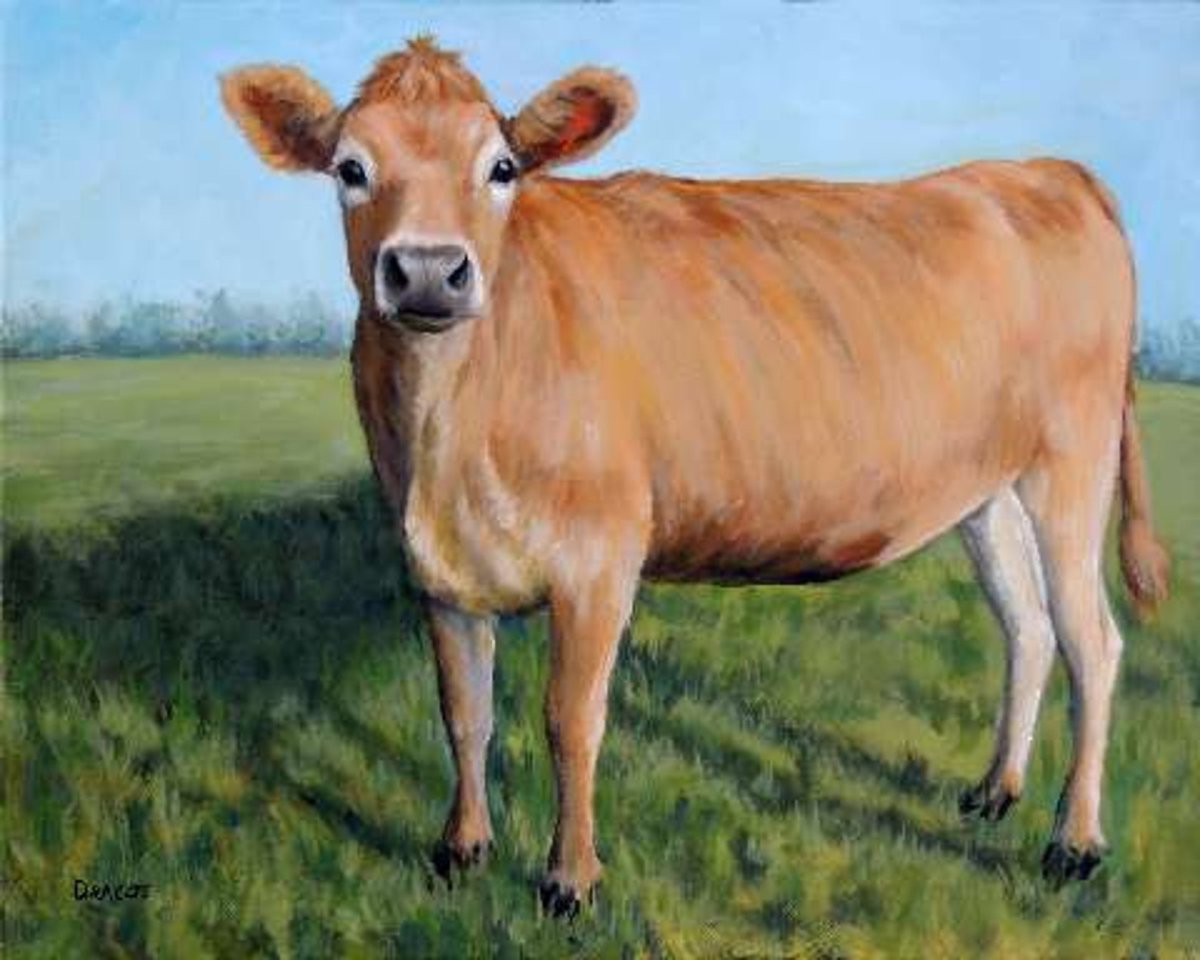 Джерсейские коровы картина