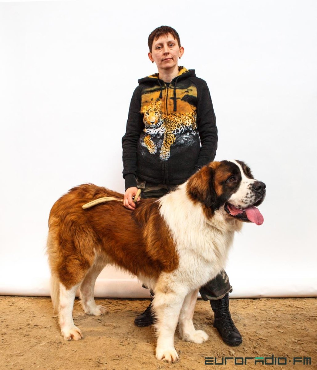 Сенбернар Бенедиктин