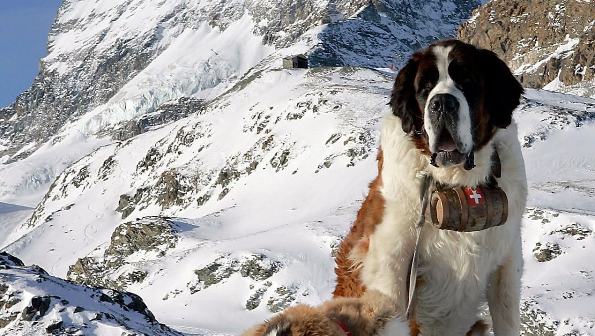 Озеро Сенбернар