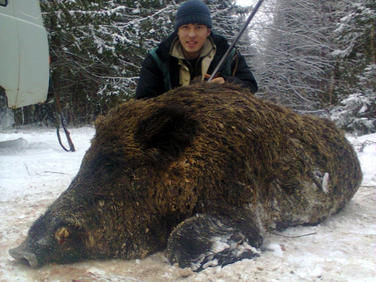 Кабан Геншин