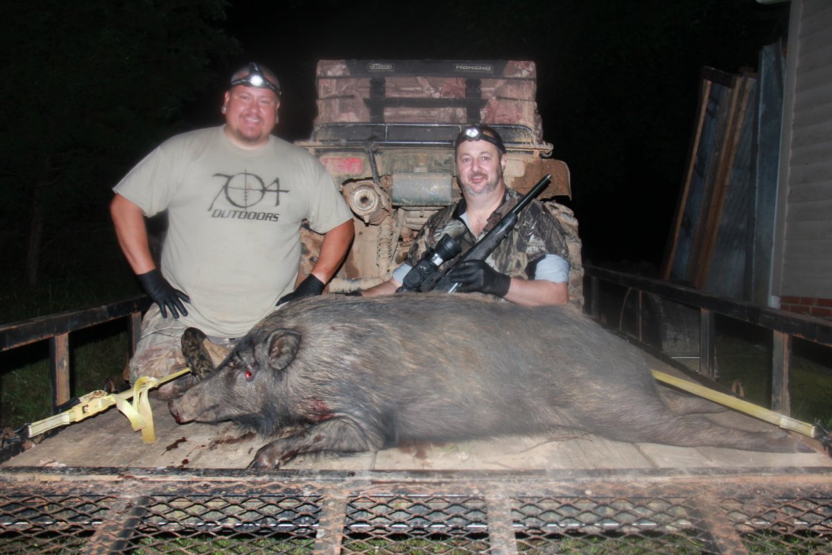 Самый большой скелет кабана секача