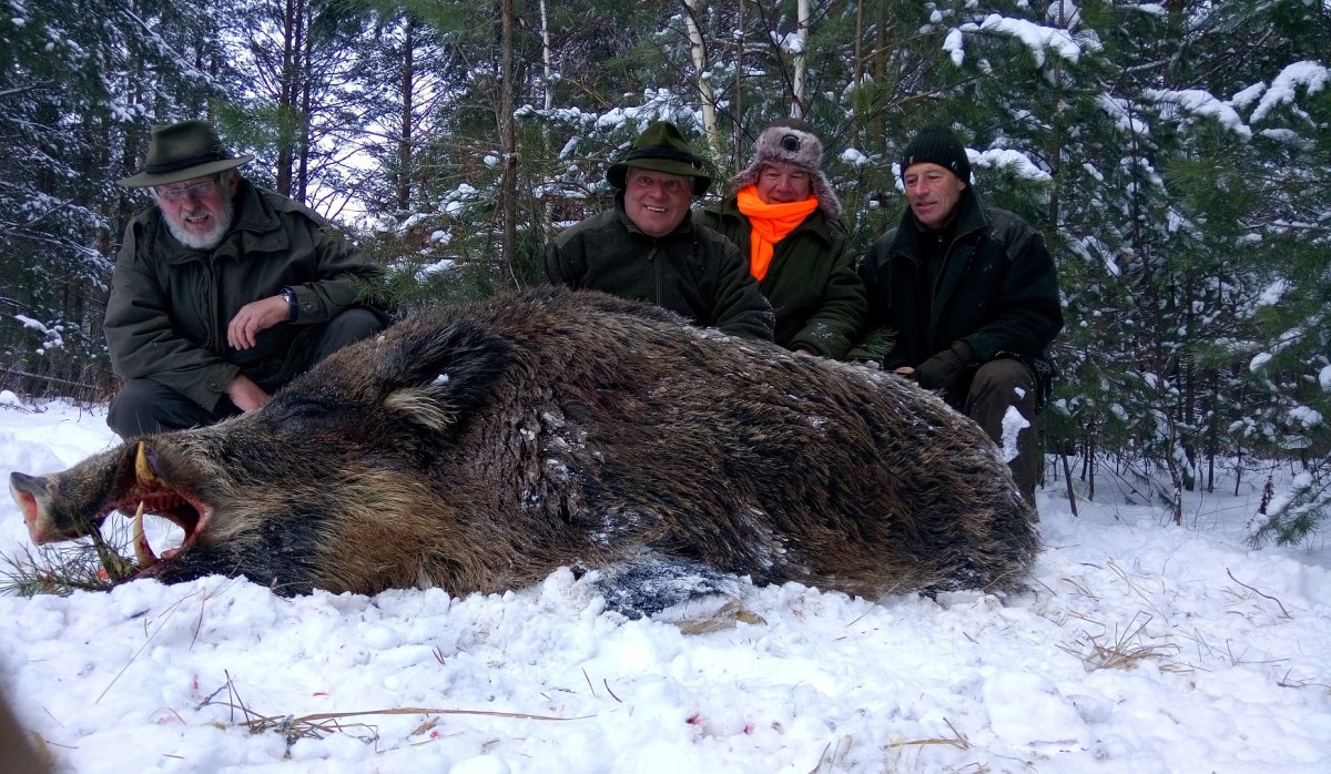 Кабан Байкал