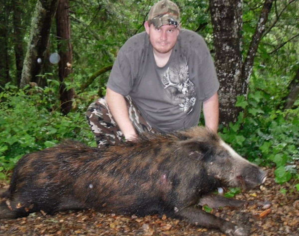 Самый большой дикий кабан секач