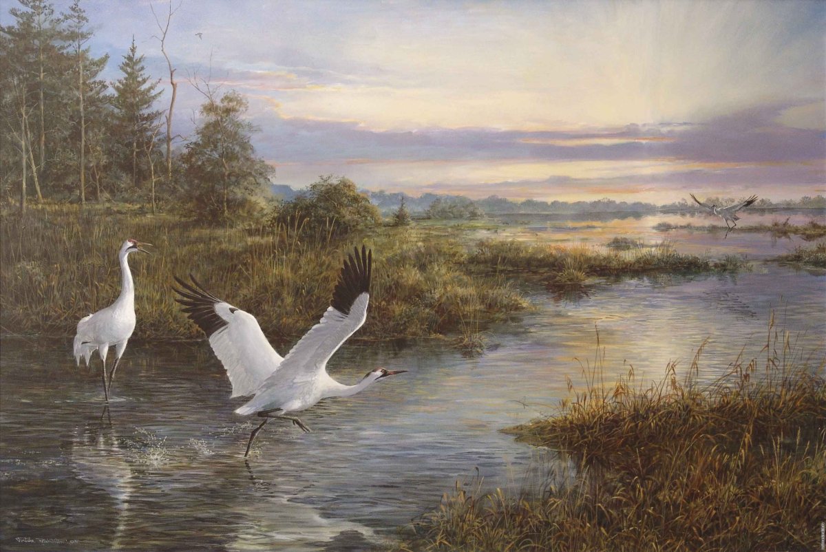 Куприянов день, Журавлиное вече