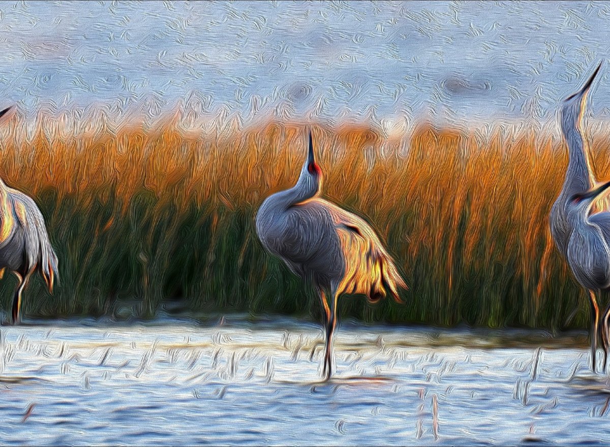 Художник Александра Мережникова журавль