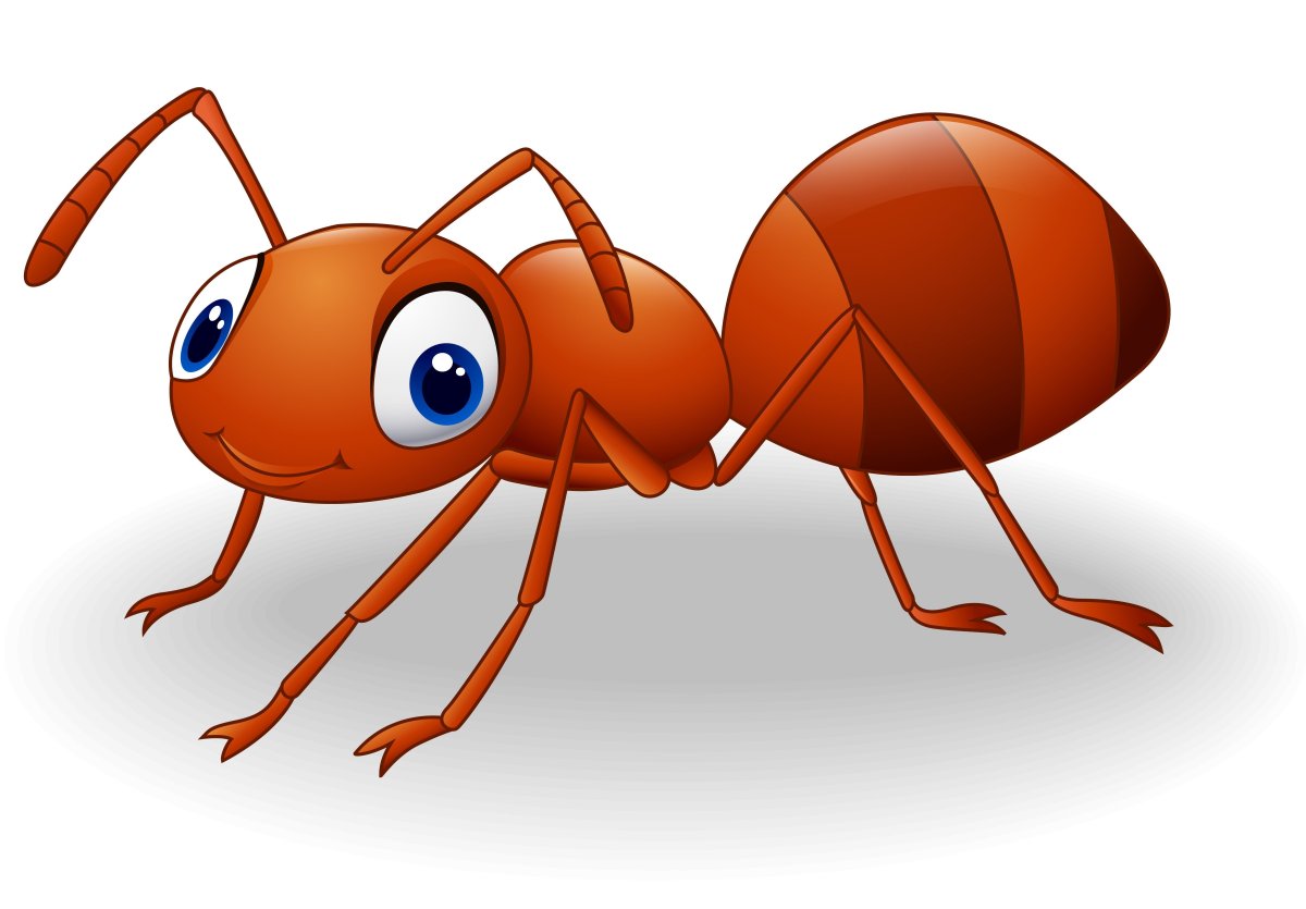 Муравей на белом фоне для детей