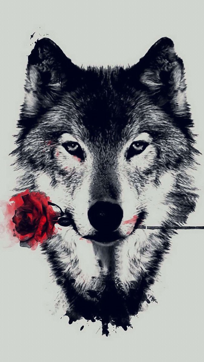 Волк с розой в зубах