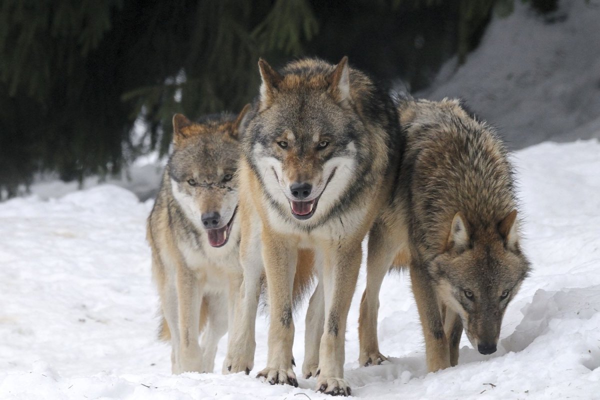 Важно кто рядом