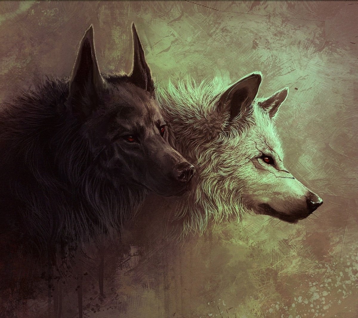 Блэк Вульф волчица