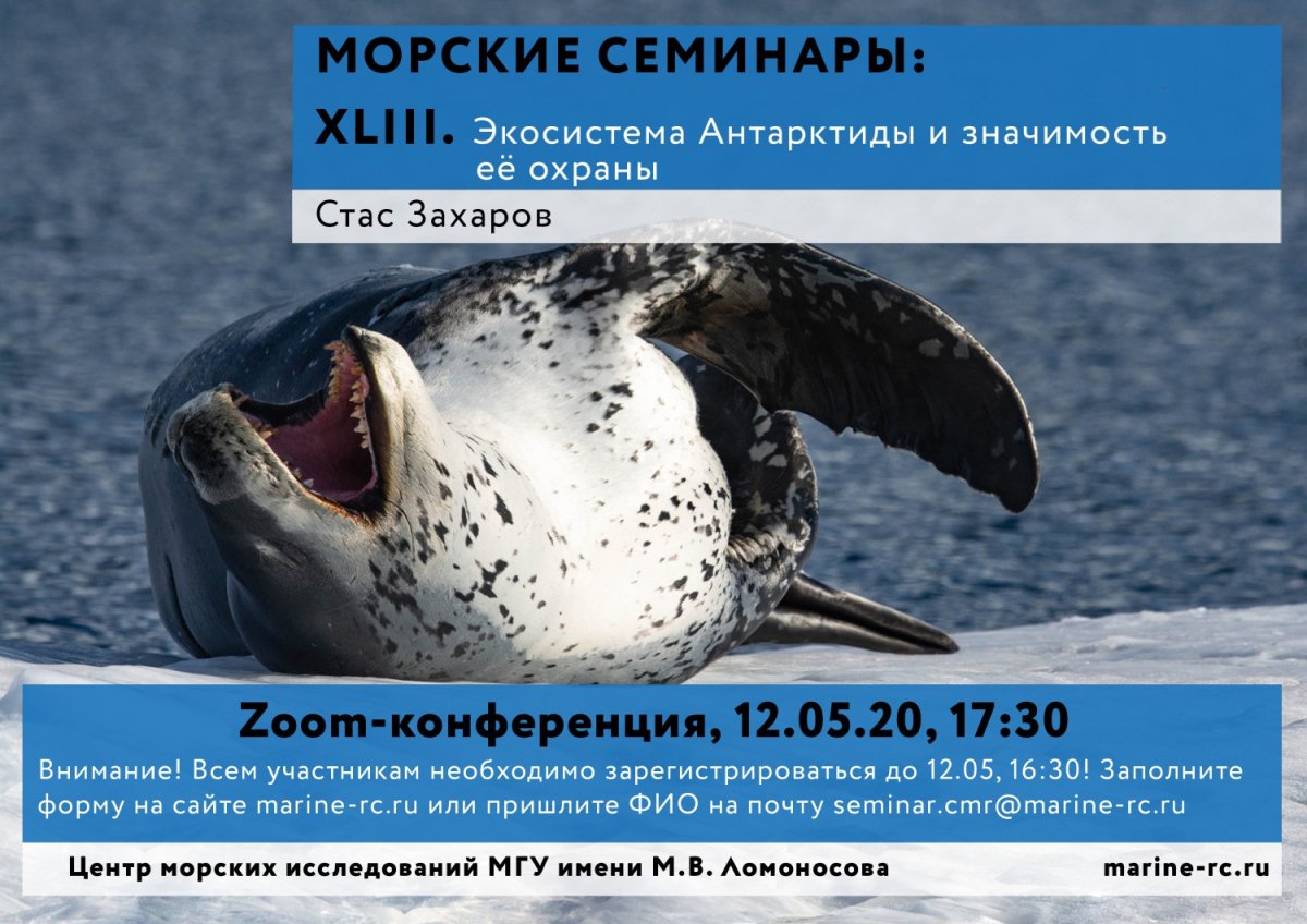 Экосистема Антарктиды