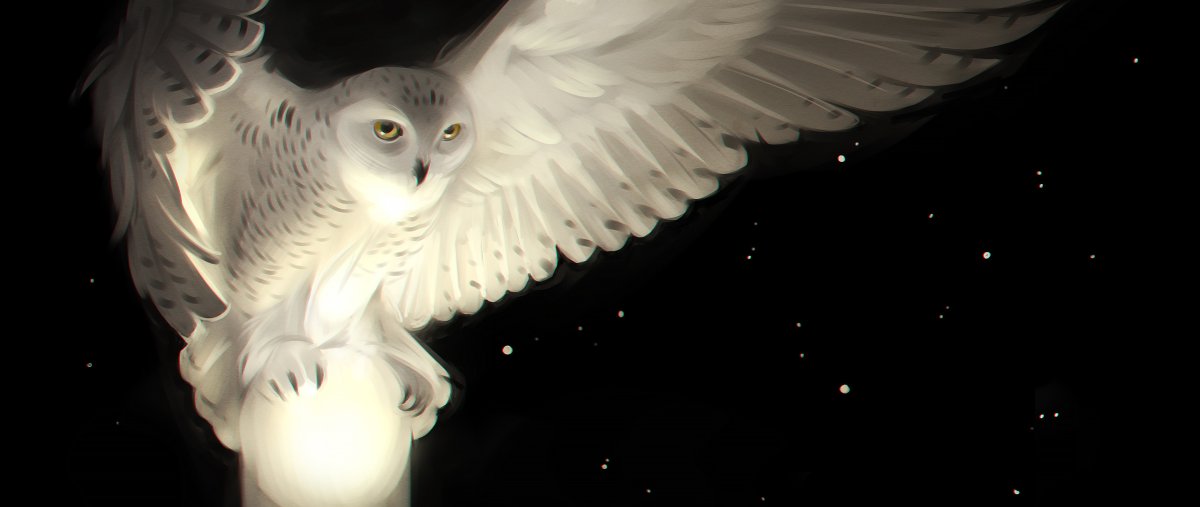 Полярная Сова ночью