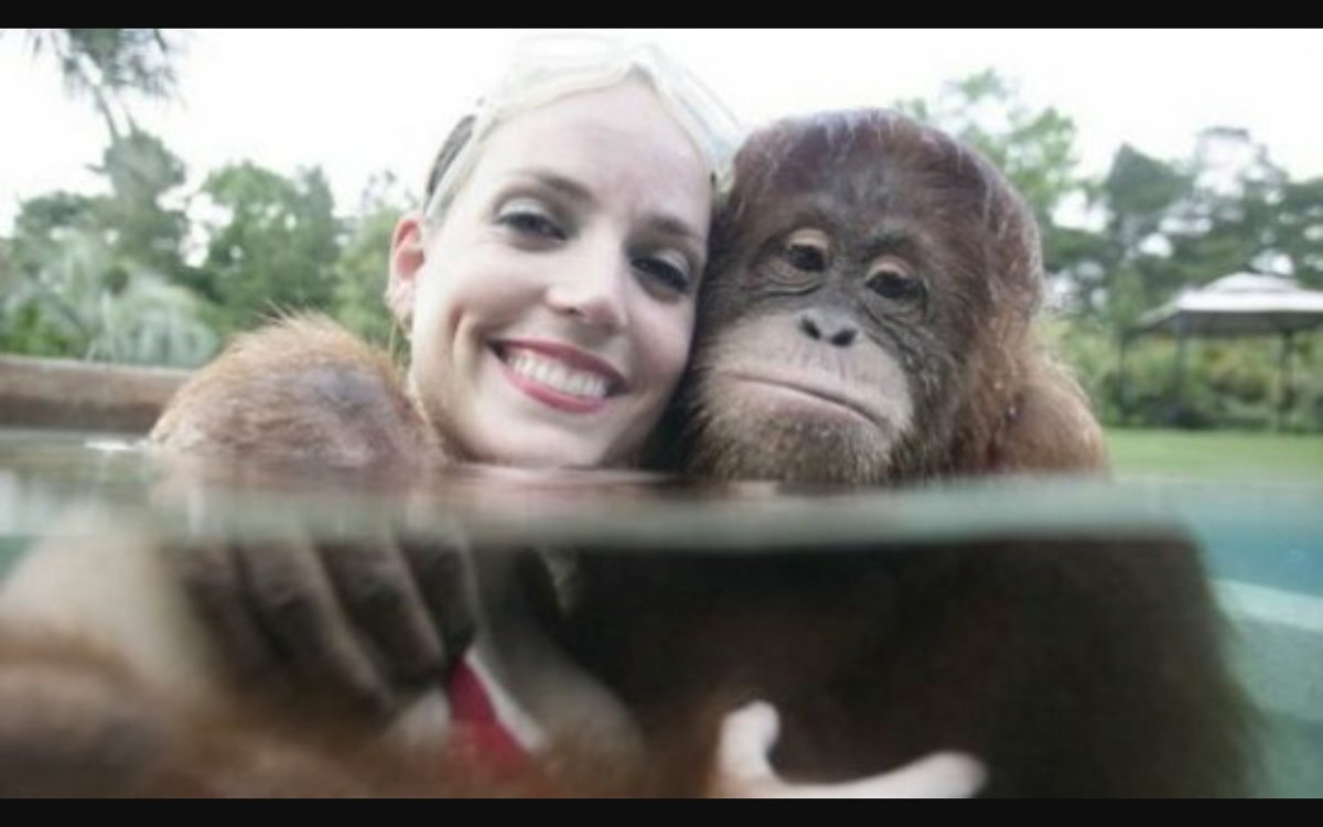 Девушка и обезьяна