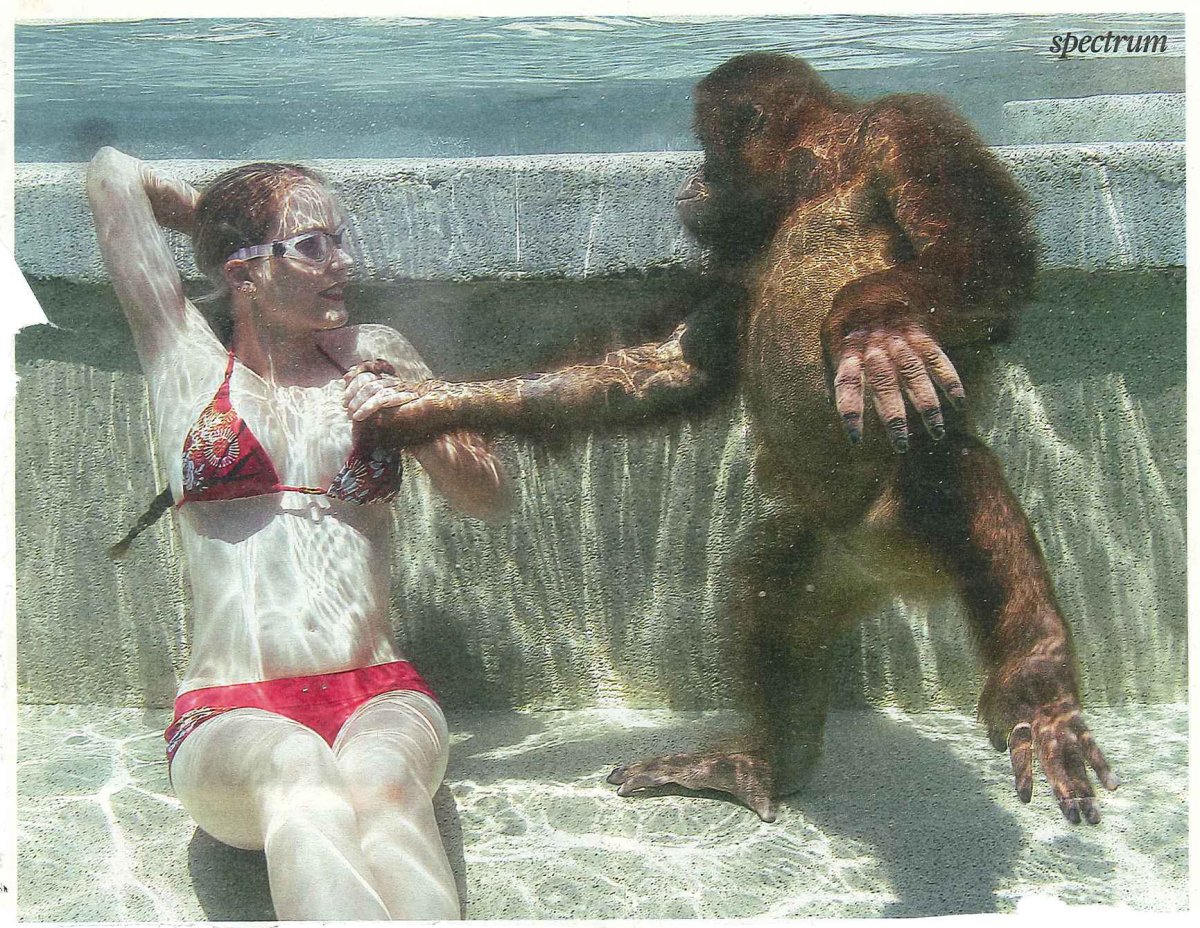 Обезьянка возле бассейна