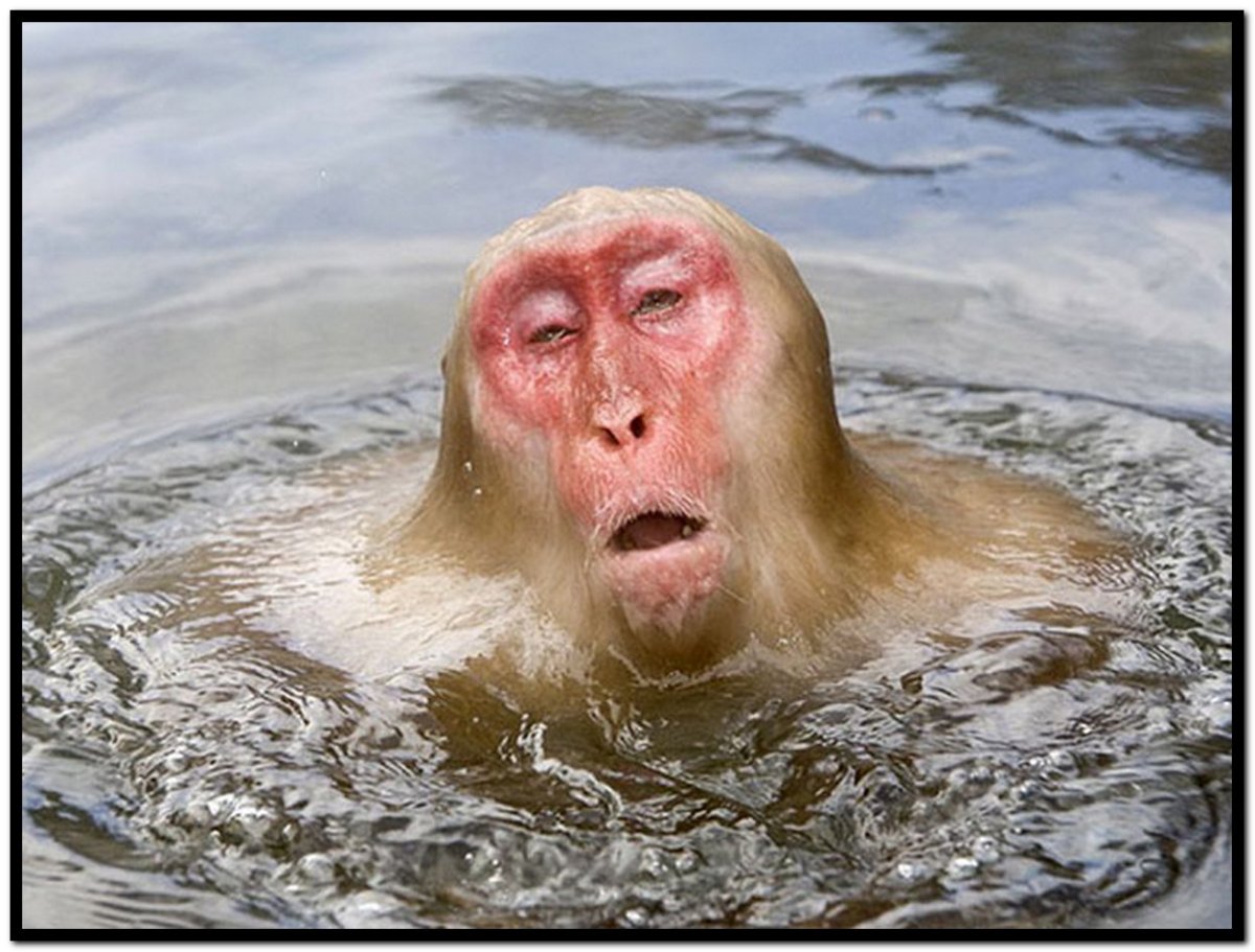 О Палмолив мой нежный гель ты даришь запах орхидей