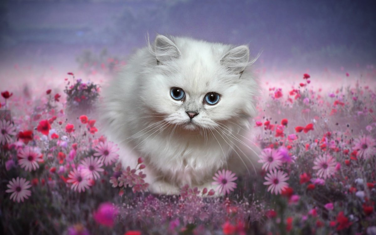 Котенок с цветами