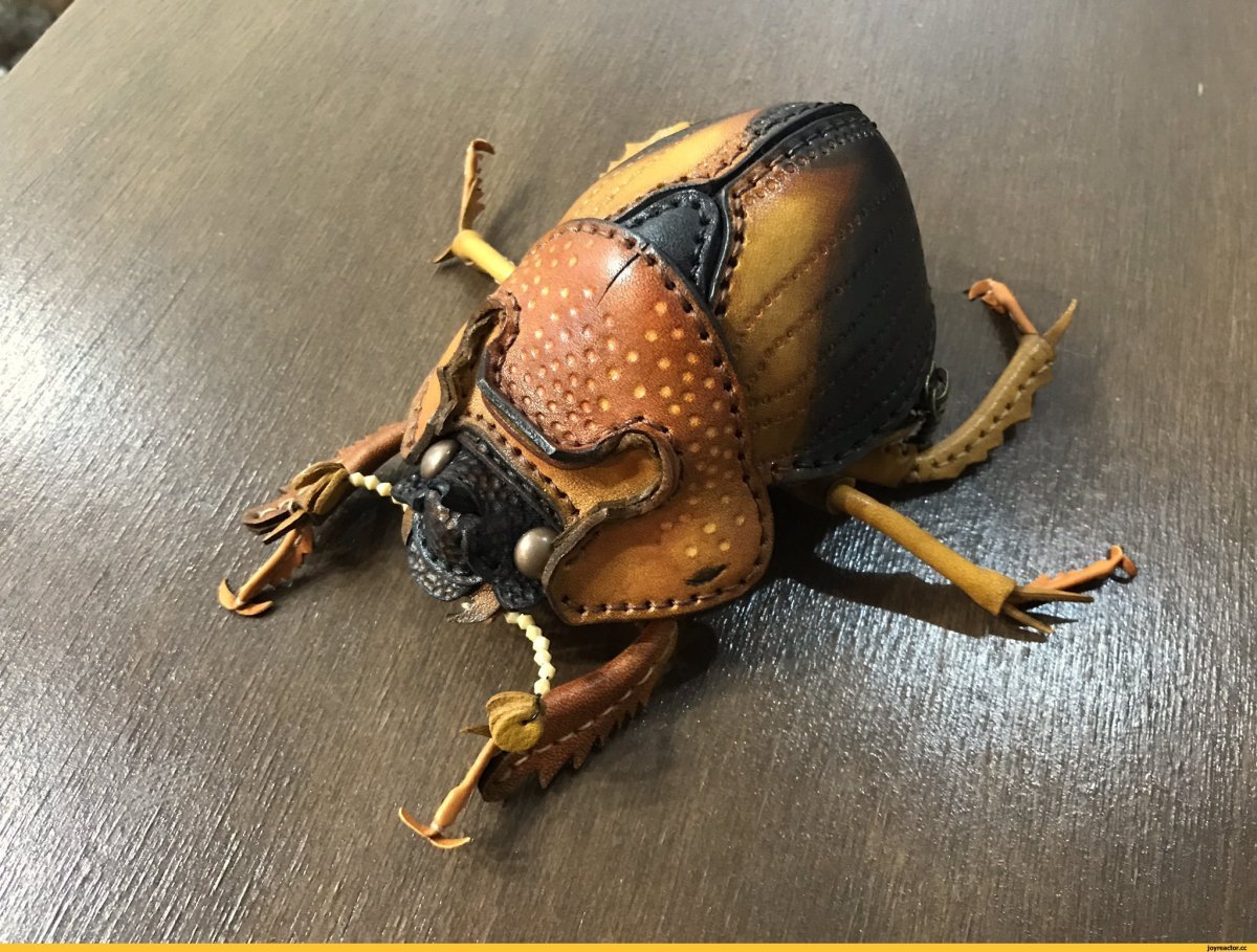 УГАРНЫЙ Жук