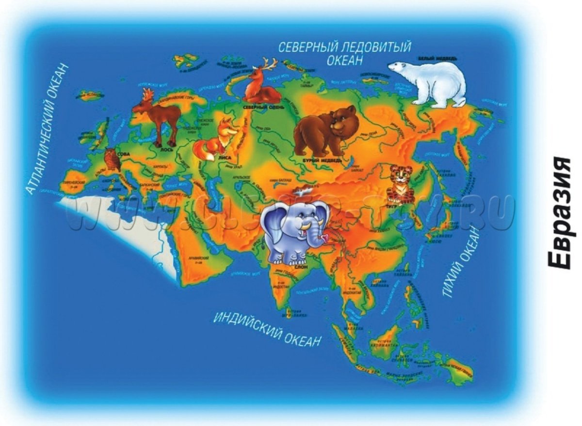 Континенты для дошкольников