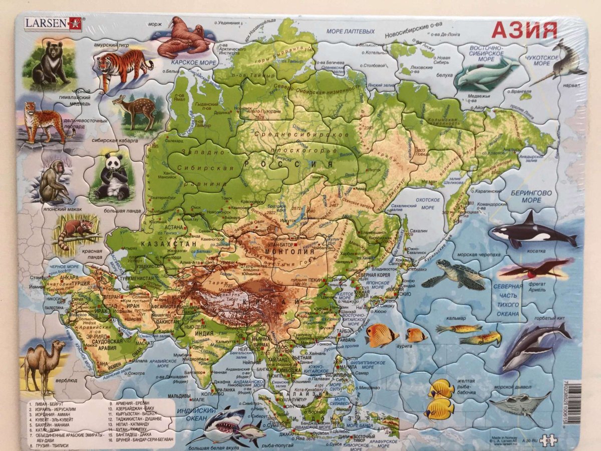 Larsen пазл животные Азии