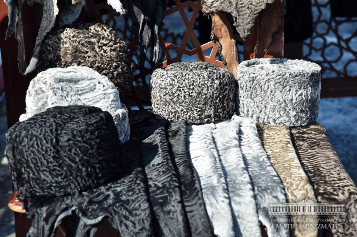 Каракулеводство в Узбекистане